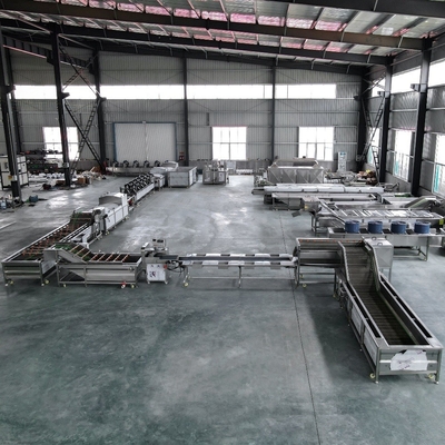 Προσαρμοσμένο 500kg πλυντήριο λαχανικών και στεγνωτήριο για ντομάτες μανιτάρια πατάτες