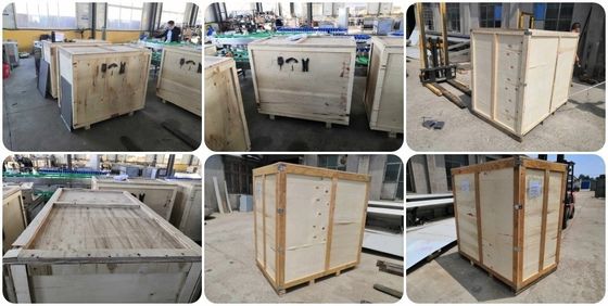 Μηχανή διακόσμησης κρέατος ακριβείας 500kg για εξατομικευμένη παραγωγή